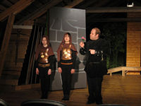 Robin Hood 2006