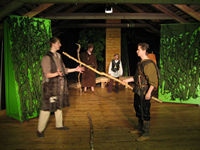 Robin Hood 2006