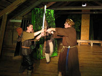Robin Hood 2006